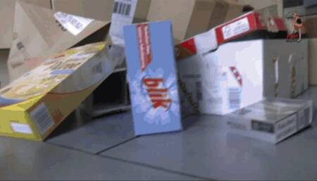 Cardboard boxes trample 2