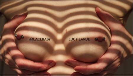 Evening Light Closeup Tit Play