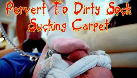 Pervert To Dirty Sock Sucking Carpet (HD 1080P MP4)
