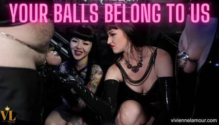 YOUR BALLS BELONG TO US! (1080P FULL HD)