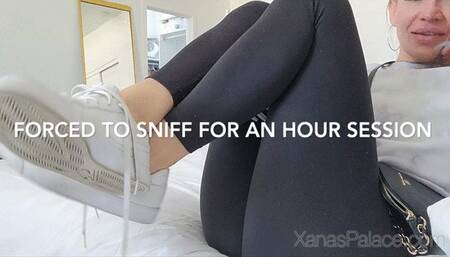 Made to Sniff for an Hour Session