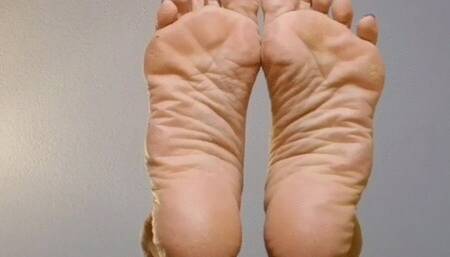 KITTY'S HOVERING PAWS