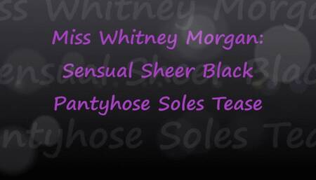 Miss Whitney Morgan: Sensual Sheer Black Pantyhose Soles Tease pt1 - mp4