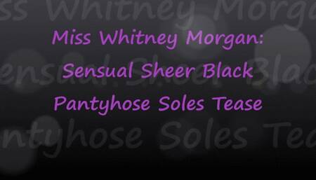 Miss Whitney Morgan: Sensual Sheer Black Pantyhose Soles Tease pt1 - wmv