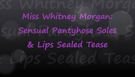 Whitney Morgan: Sensual Pantyhose Soles & Lips Sealed Tease - mp4