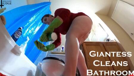 Giantess Cleans Bathroom VR 360
