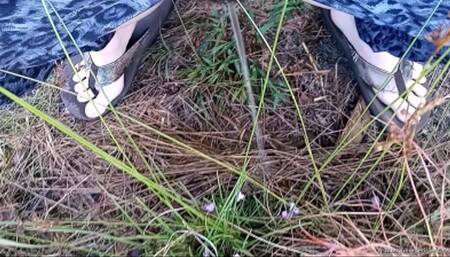 Desperate Pees in the Woods Daytime Edition HD