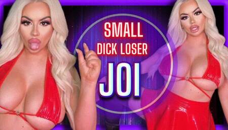 Small Dick LOSER JOI (1080 MP4)