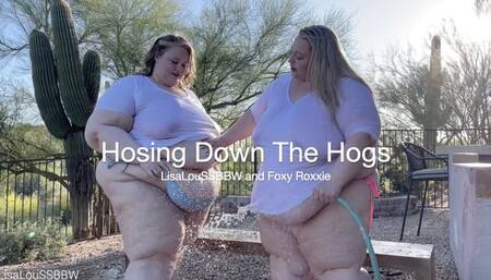 Hosing Down The Hogs