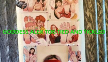 Goddess Alex Toe-Tied and Tickled 2