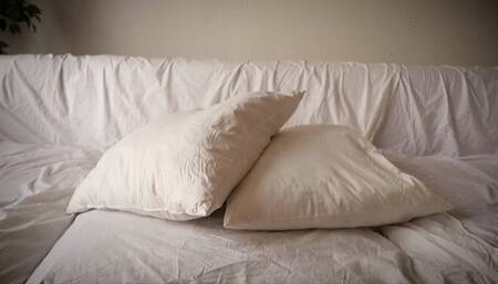 Feather Pillow Fighting After Humping