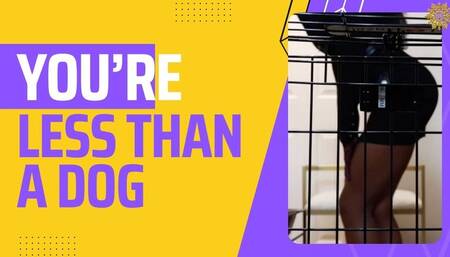 You're Less Than A Dogg