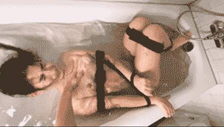 Lory Gone Hardcore HD