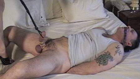 Cock Owned CBT Redux-SD