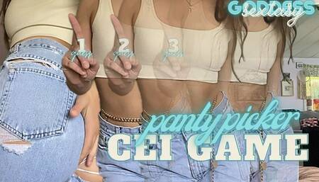 panty picker CEI game (preview audio on)