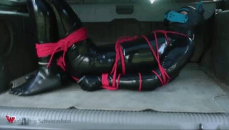 HE BROKE MY WINDOW IN THE BARN (HD mp4) 720p