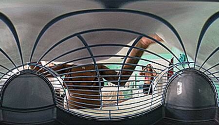 **VR 360** Teased & Devoured By Hungry Giantess Meiko Jane & Renee Nuttz