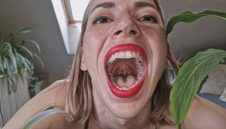 Monsters lurk in the wilderness