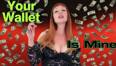 Your Wallet Is Mine WMV SD