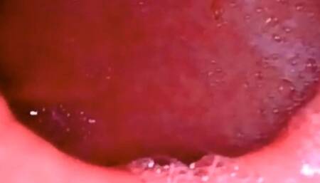 Empty Stomach Full Stomach - Digestion of meat in fullscreen 720HD