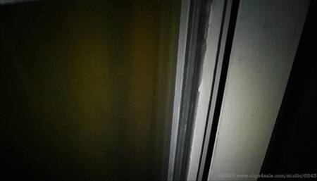 The cum thief (2017) (MP4)