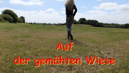 Grey Cameltoe Leggings on the Meadow - Graue Cameltoe-Leggings auf der Wiese