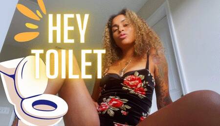 Hey Toilet Vol1