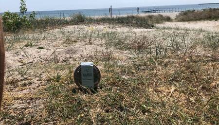 summer buttcrush on the beach 2023