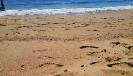 Sandy Beach Feet (mkv)