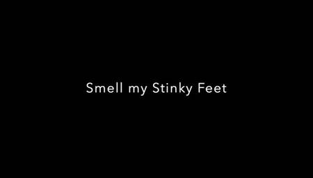 Smell my Stinky Feet