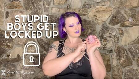 Stupid Boys Get Locked Up