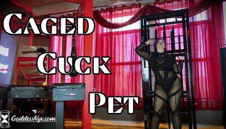 Caged Cuck Pet