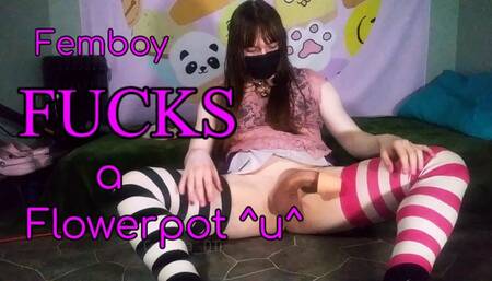 Femboy fucks a flowerpot C-cumshot?
