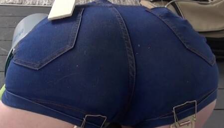 Pest Control Problems