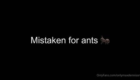 Macrophilia - mistaken for ants