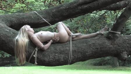 bondage tree with Tiny Lolicoon - mp4 1080p