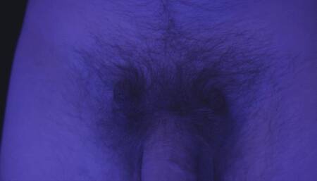 Hairy Bush Light Show