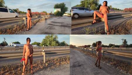 Walking down the road naked, publico