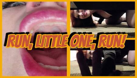 Run, Little One, Run! WMV