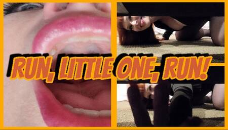 Run, Little One, Run! SD