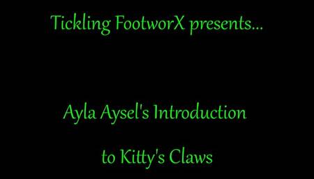 Ayla Aysels Introduction to Kittys Claws