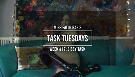 Week 17: A Grooming Task for Soft Sissies (MP4)