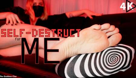 Self-Destruct for ME - 4K