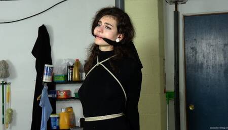 Unsuccessful Thief (M4V 4K) - Ramona Vixen