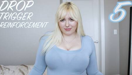 DROP Trigger Reinforcement 5