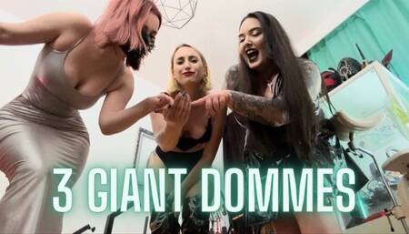 Three Giant Dommes Humiliate You