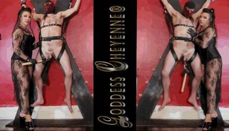 Keeping Him in Suspense wmv