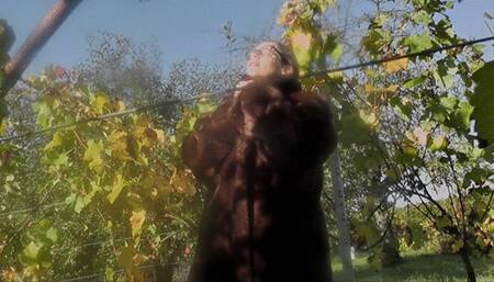 The outdoor masturbation (2017) (MP4)