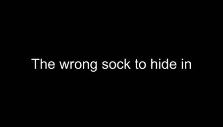 Macrophilia - the wrong sock to hide in! foot fetish
