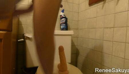 Hairy pussy dildo fucking on toilet lid in bathroom, 480p